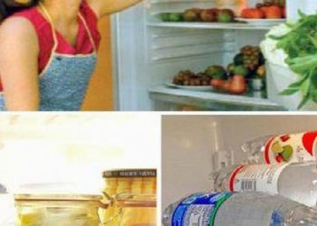 Chỉ cần điều chỉnh nút này trong tủ lạnh giúp bạn giảm nửa tiền điện hàng tháng