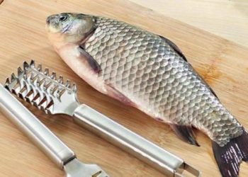 Hóa ra cá có mùi tanh là do những thứ này, loại bỏ hết đảm bảo món ăn thơm ngon hơn