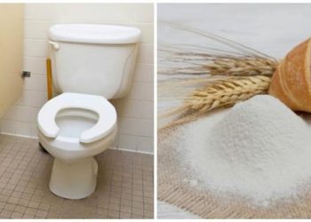 Vô tình đánh rơi bột mỳ vào nhà vệ sinh, kết quả thật bất ngờ