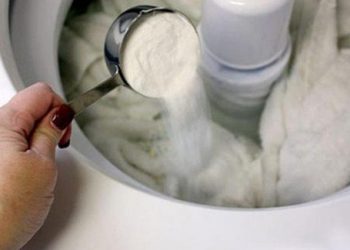 Khăn tắm làm theo cách này không bị hôi, lau xong vẫn còn thơm như mới