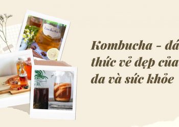 Kombucha là gì? Cách uống Kombucha đúng cách? Mua Kombucha ở đâu uy tín?