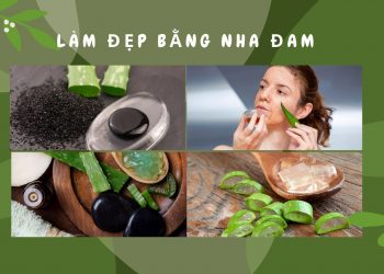 Nha đam có tác dụng gì cho da mặt? Tham khảo 12 tips làm đẹp bằng nha đam đơn giản ngay tại nhà