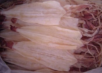 Cách đơn giản chọn mực khô ngon, an toàn nhất định phải biết