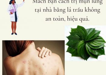 Mách bạn cách trị mụn lưng tại nhà bằng lá trầu không hiệu quả, an toàn