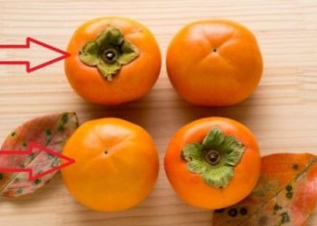 Mách chị em cách chọn hồng giòn cúng Trung thu đảm bảo ngon ngọt, không hóa chất