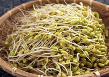 Chìa khóa giúp cơ thể phụ nữ trở nên mềm mại và tươi trẻ