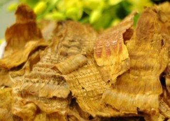 Cách chọn miến, mộc nhĩ, nấm hương ngày Tết nên biết