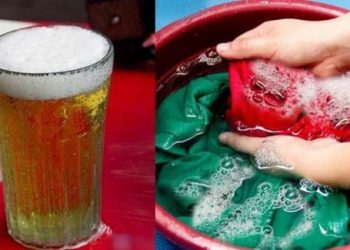 Bia uống dở đừng vội đổ đi, tận dụng theo cách này sẽ thấy thành quả bất ngờ