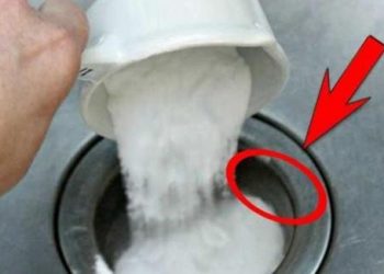 Đổ muối vào bồn cầu, ai cũng chửi hâm nhưng biết công dụng về nhà làm theo ngay