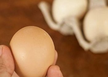 Muốn chọn trứng gà tươi ngon chỉ cần làm đúng 1 việc, bà bán hàng chắn chắn không bao giờ tiết lộ