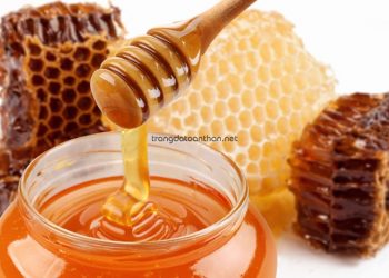 Mẹo trị mụn bằng mật ong đơn giản, siêu tiết kiệm