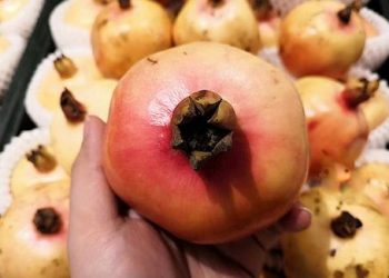Mua lựu, đừng dại chọn quả vỏ màu đỏ, nhớ 5 điểm dưới đây để có được lựu ngọt ngon