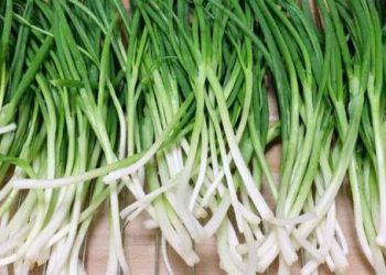 Mua nhiều hành lá về ăn không hết, hãy làm ngay cách này sẽ để được nửa năm