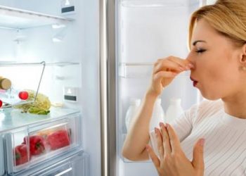 Tuyệt chiêu khử mùi khiến tủ lạnh thơm nức, mẹ nào cũng nên biết