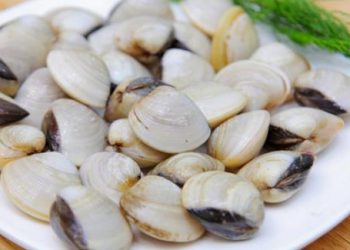 Thêm vài giọt này vào nước ngâm ngao, ngao nhả sạch cát giúp món ăn trở nên hoàn hảo