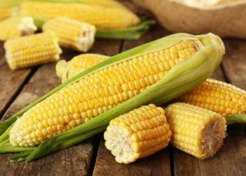 Tuyệt chiêu chọn ngô ngon bắp nào cũng căng mịn, ngọt cực phẩm
