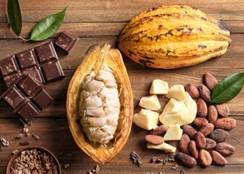 Bật mí tác dụng làm đẹp của bơ ca cao