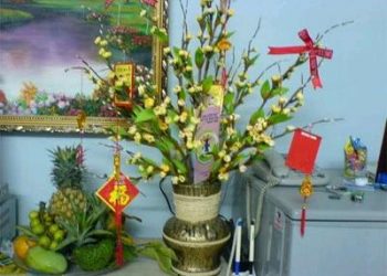 Hướng dẫn bí quyết trang trí nhà ngày Tết đẹp lung linh