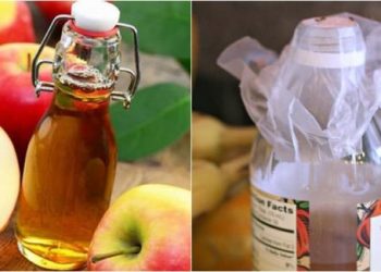 5 mẹo thông minh diệt ruồi đơn giản mà hiệu quả không ngờ