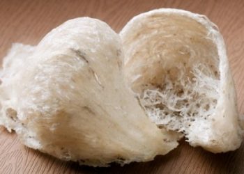 Cách nhận biết nước yến thật đơn giản đến không ngờ