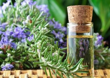 10 mẹo đơn giản giúp bạn ngăn bị muỗi đốt
