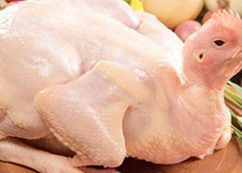 Gần ngày Tết, mách bạn cách chọn gà ngon cả trăm con như một dù là gà sống hay gà đã thịt sẵn