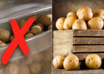 5 loại rau củ cho vào tủ lạnh càng nhanh hỏng, 90% bà nội trợ vẫn mắc sai lầm này
