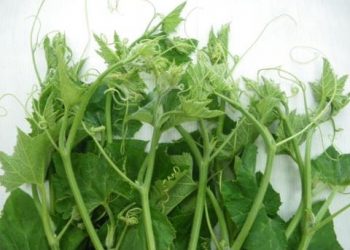 Nhận biết quá đơn giản