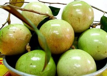Ăn hoa quả cứ chọn 6 quả thuần Việt này, đảm bảo không sợ đồ Trung Quốc độc hại