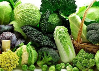 Thực phẩm giúp ngực phát triển nhanh và to hơn
