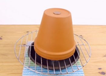Mẹo giữ ấm cơ thể và nhà cửa khi trời lạnh giá nên chú ý