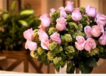 Cần phải lưu ý những điều gì?