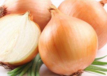 Cách nhận biết hành tây Việt siêu chuẩn không thể không biết
