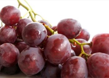 Cách nhận biết nho Việt chính hiệu mà ít người biết