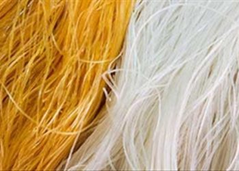 Cách nhận biết miến sạch và miến bẩn nhất định phải biết