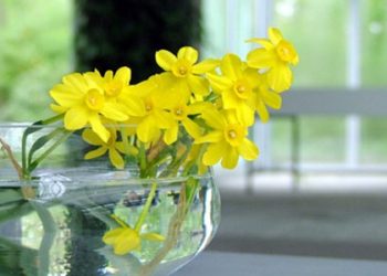 Một số lưu ý về cách trang trí hoa ngày Tết Nguyên Đán