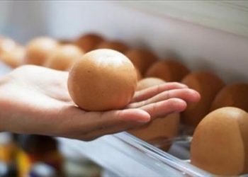 Không nên tích trữ trứng quá nhiều trong tủ lạnh