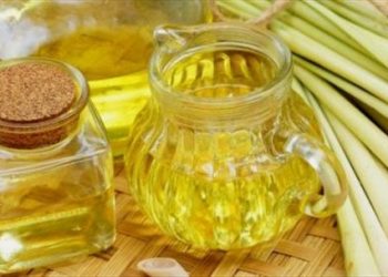5 loại tinh dầu khiến muỗi sợ chạy xa