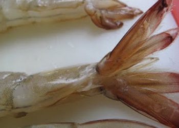 Cách bóc vỏ tôm sống rất mới, rất dễ, rất nhanh