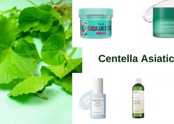 Chiết xuất rau má có tác dụng gì? TOP 05 sản phẩm chứa chiết xuất rau má tốt nhất hiện nay