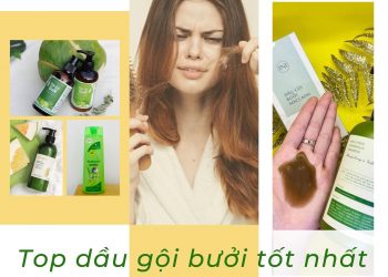 Top 8 dầu gội bưởi chống rụng tóc, giúp kích thích mọc tóc tốt nhất hiện nay