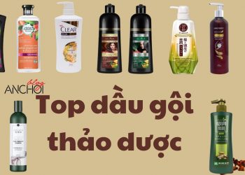 Top 11 dầu gội thảo dược tốt – tóc sạch, tóc thơm mà vẫn an toàn cho da đầu