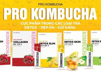 Review trà lên men Pro Kombucha: thức uống thời thượng phong cách healthy mới