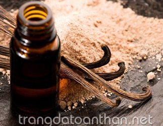 Vanilla – Nguyên liệu tẩy tế bào chết toàn thân thần thánh