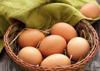 Vỏ trứng bị bẩn có cần rửa sạch trước khi bỏ vào tủ lạnh? Nhiều chị em không biết câu trả lời chính xác