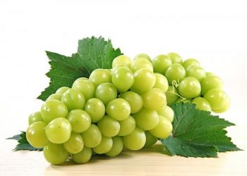 Mách nhỏ 8 cách giữ đường huyết ổn định bạn đừng bỏ qua