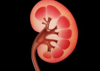 Hướng dẫn 10 cách giữ cho thận khỏe mạnh ai cũng nên biết