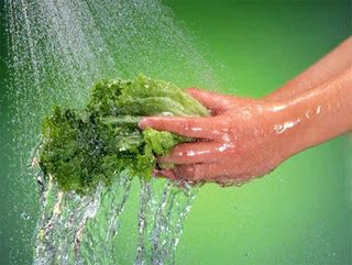 Bạn đã biết cách rửa rau quả để bảo vệ sức khỏe của mình?