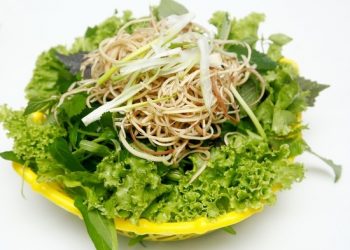 Cách loại bỏ ký sinh trùng trên rau sống cực hay bạn nên tham khảo