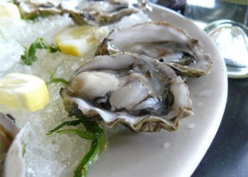 Mách bạn cách dùng vỏ hàu chữa mồ hôi trộm vô cùng hiệu quả